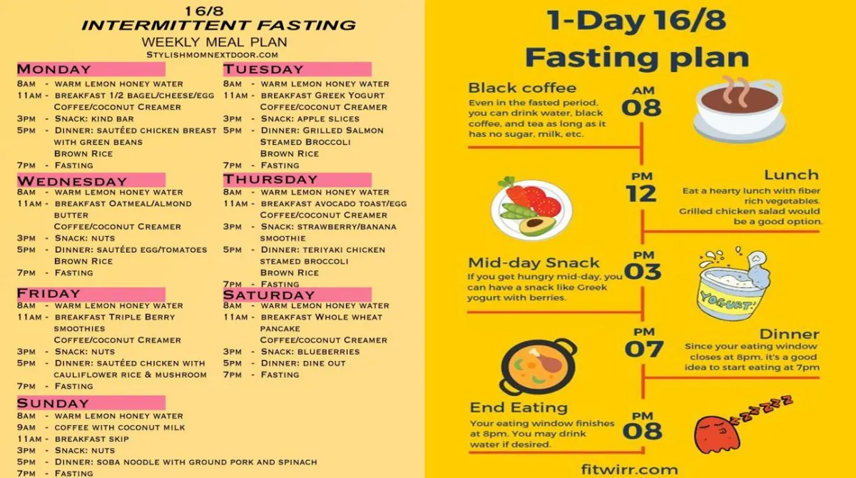 16:8 Fasting Meal Plan Sample – Ninenovel